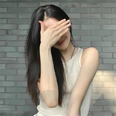 今天也要努力当只猫